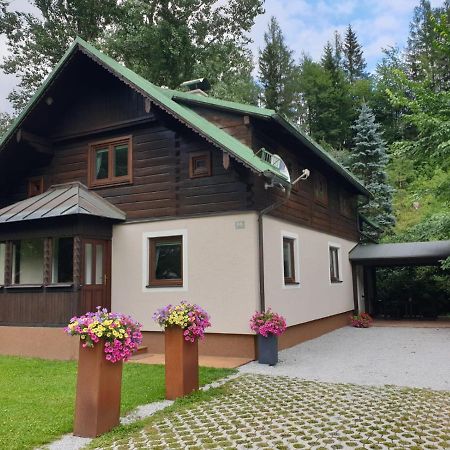 Freeride-Living Villa Анаберг им Ламертал Екстериор снимка