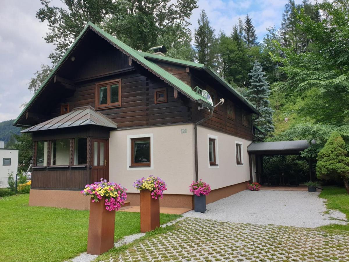 Freeride-Living Villa Анаберг им Ламертал Екстериор снимка